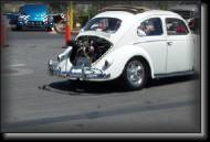 WhiteBug * 1800 x 1200 * (1.29MB)