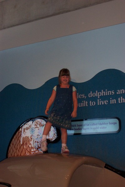 Click for the original image