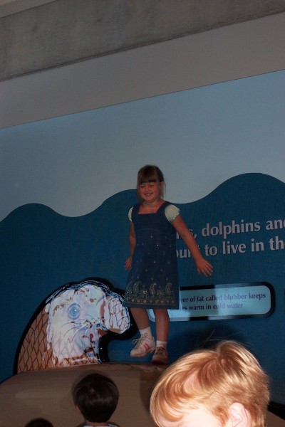 Click for the original image