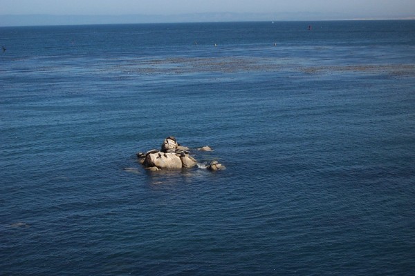 Click for the original image