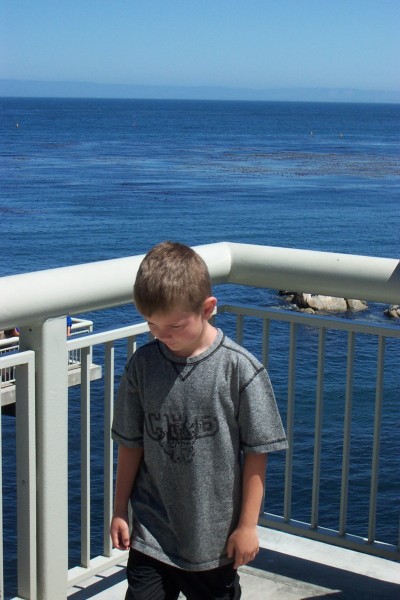 Click for the original image