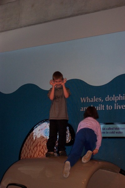 Click for the original image