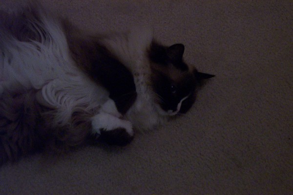 Click for the original image