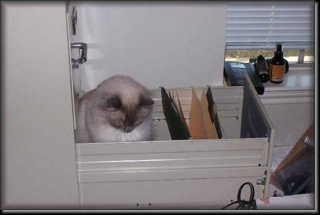 Click for the original image