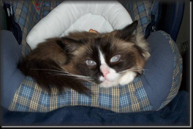 Click for the original image