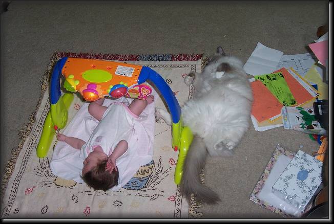 Click for the original image