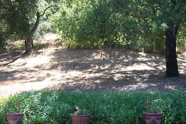 Click for the original image