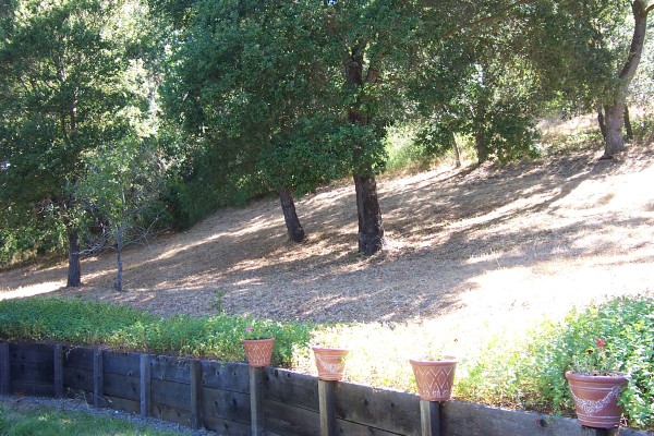 Click for the original image