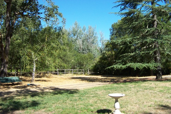 Click for the original image