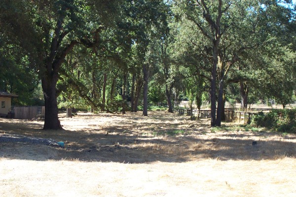 Click for the original image