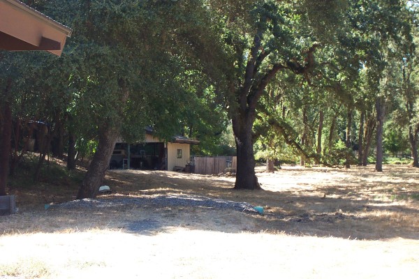 Click for the original image