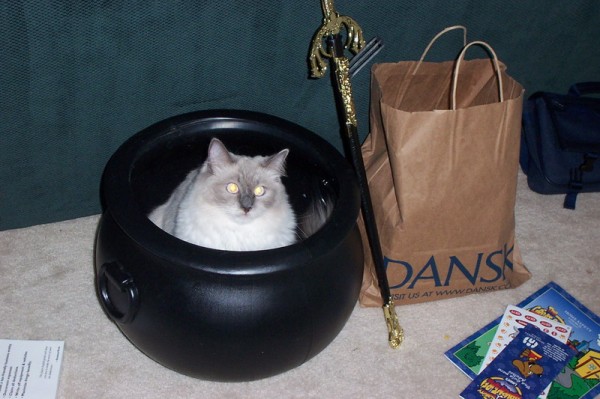 Click for the original image