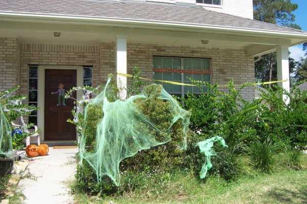 Click for the original image