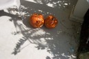 KidsPumpkins_resize * 800 x 533 * (106KB)