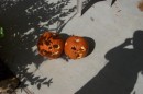 Pumpkins_resize * 800 x 533 * (101KB)