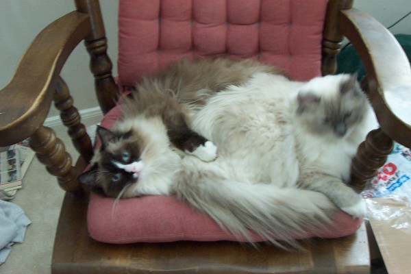 Click for the original image