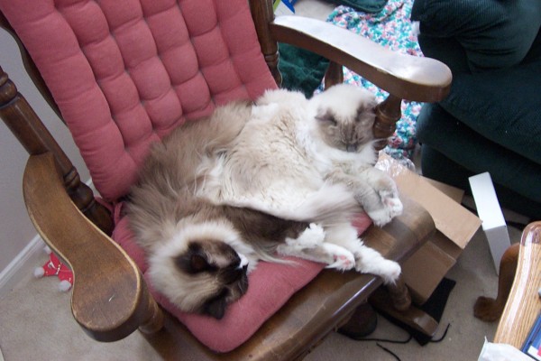 Click for the original image