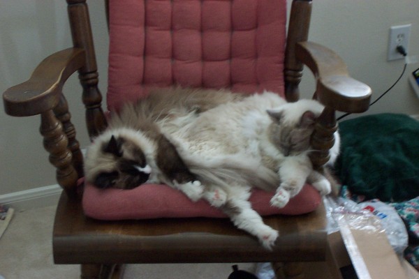 Click for the original image