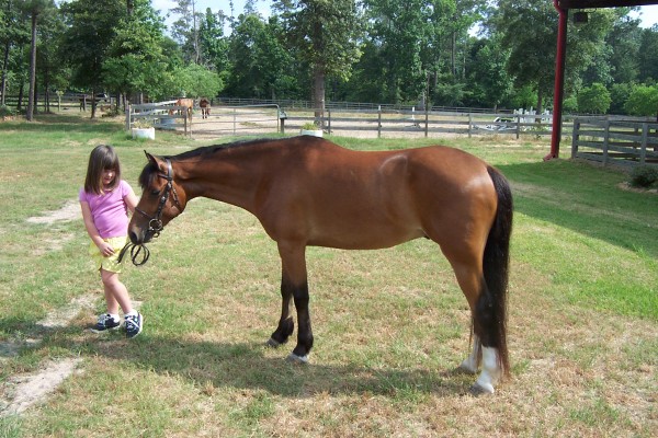 Click for the original image