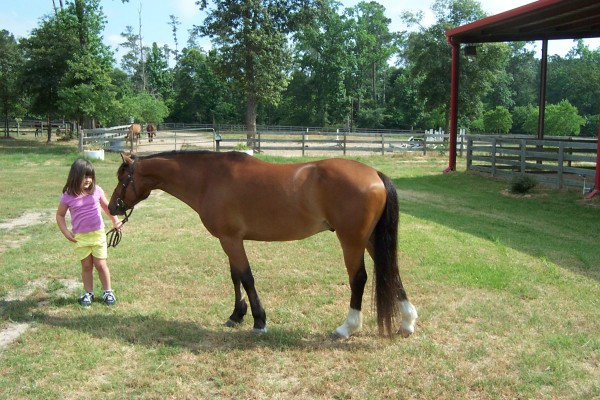 Click for the original image