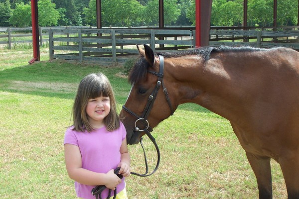 Click for the original image