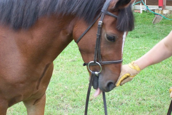 Click for the original image