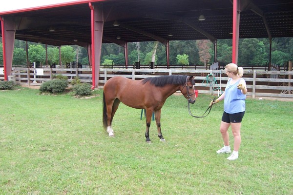 Click for the original image