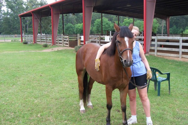 Click for the original image