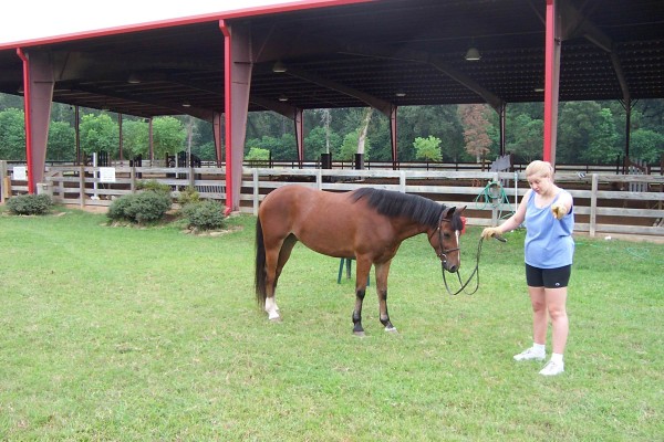 Click for the original image