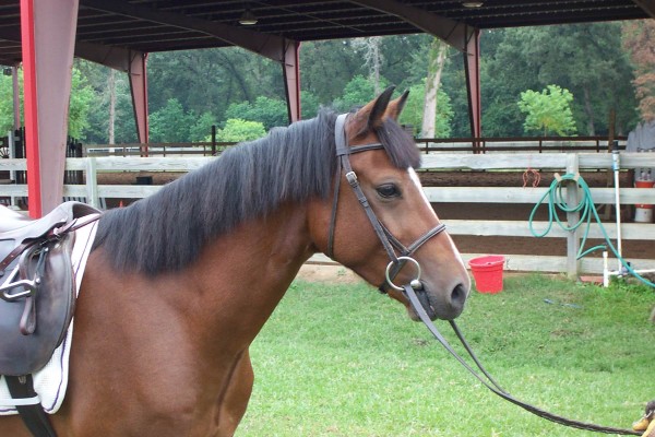 Click for the original image