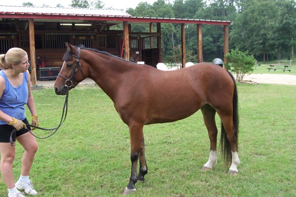 Click for the original image