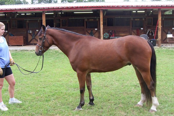 Click for the original image