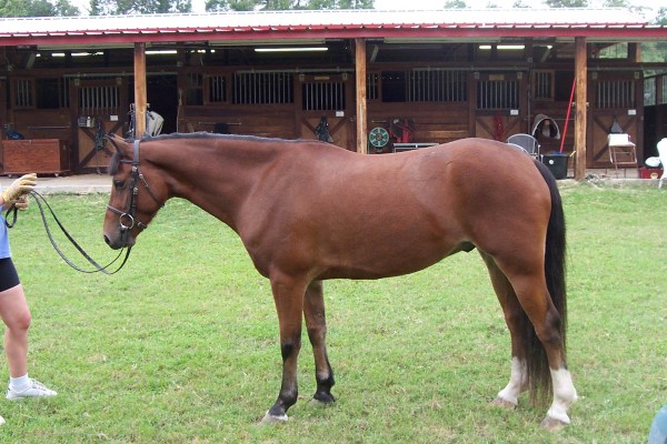 Click for the original image