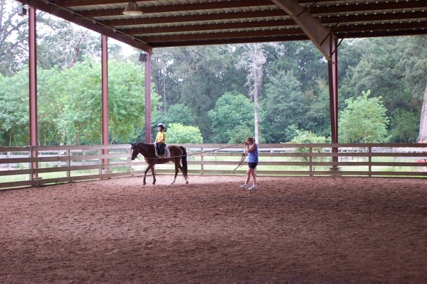 Click for the original image