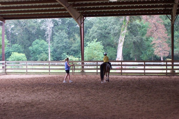 Click for the original image