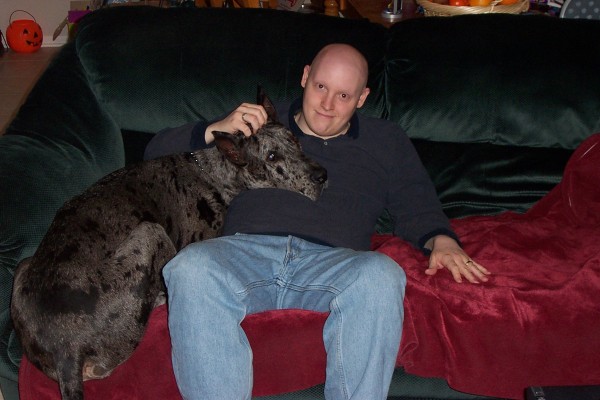 Click for the original image