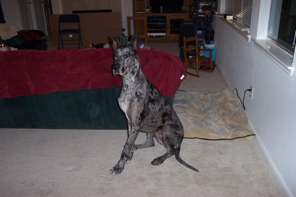 Click for the original image