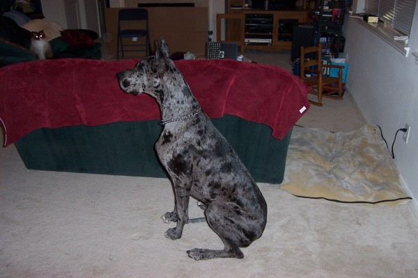 Click for the original image