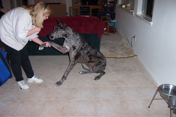 Click for the original image