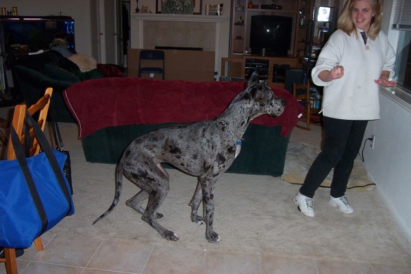 Click for the original image