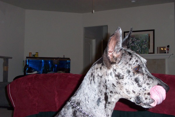 Click for the original image