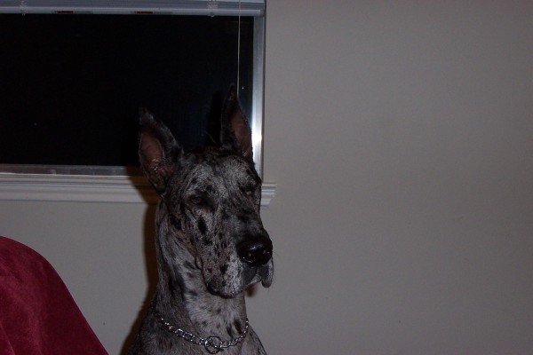 Click for the original image