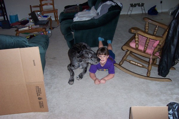 Click for the original image