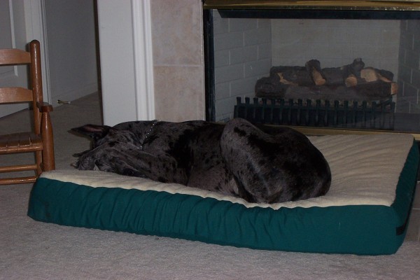 Click for the original image