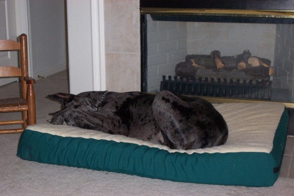 Click for the original image