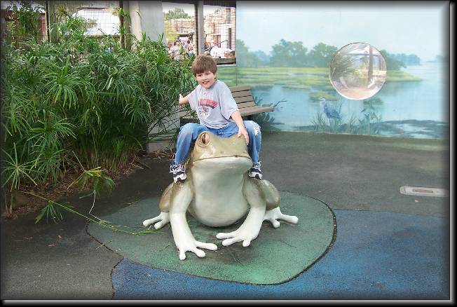 Click for the original image