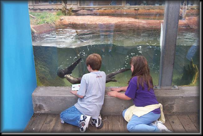 Click for the original image